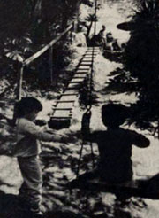 JT / Sumaré
