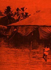 JT / Lições de circo